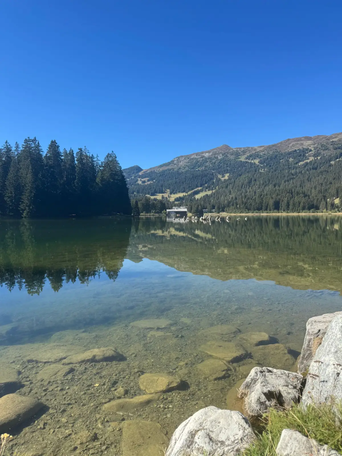 Klarer Bergsee mit Wald und Bergen an einem Sommermorgen
