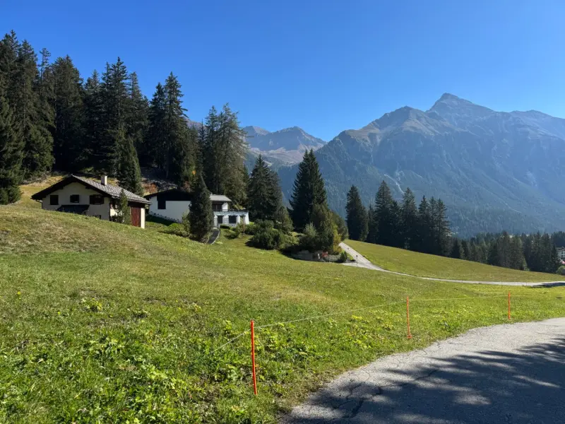 Wanderweg über Alpweiden mit Blick auf die Berge